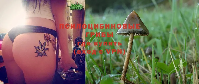 Псилоцибиновые грибы MAGIC MUSHROOMS  Дивногорск 